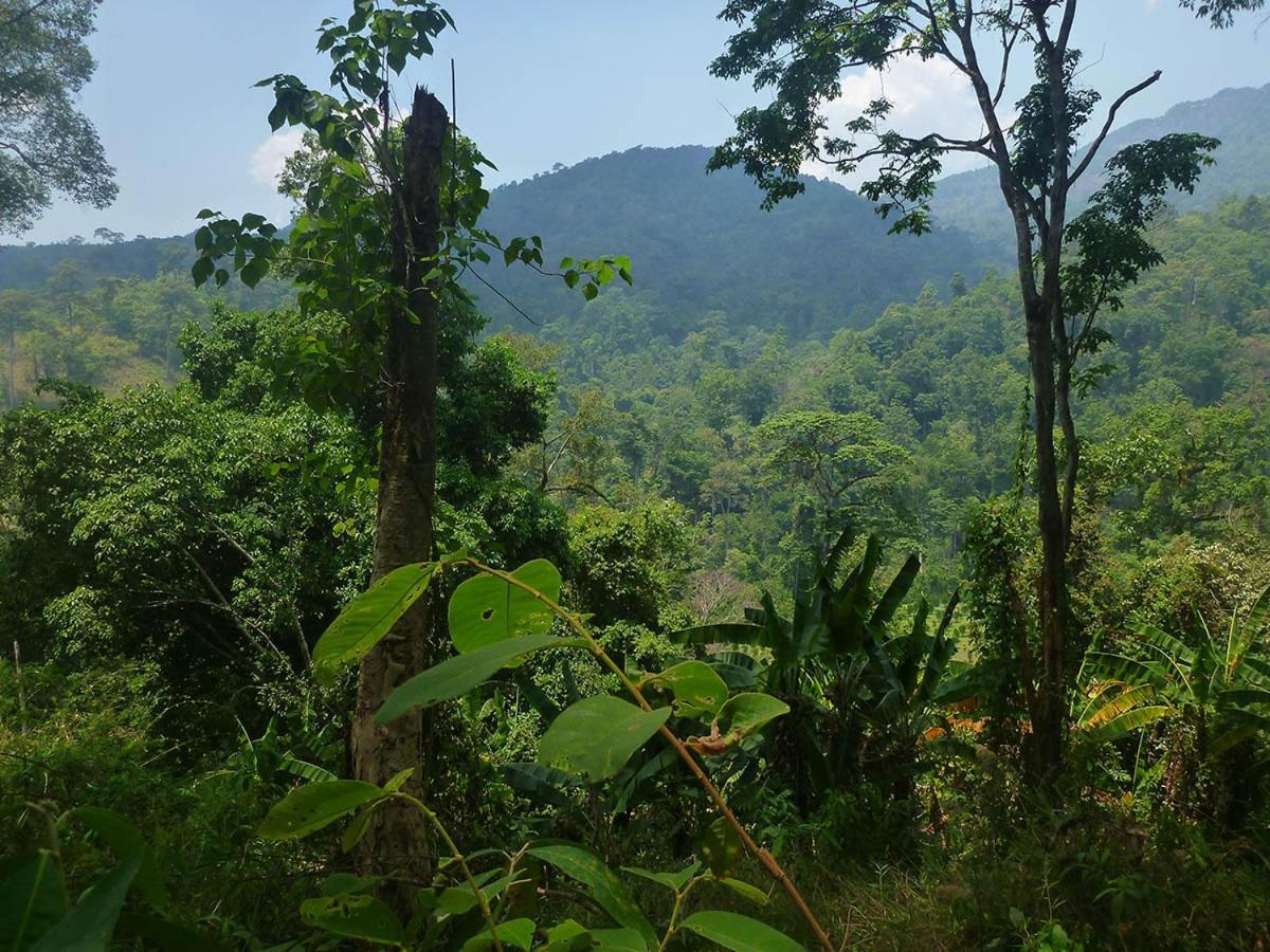 Hidden Valley Bungalows Baan Tai Esterno foto